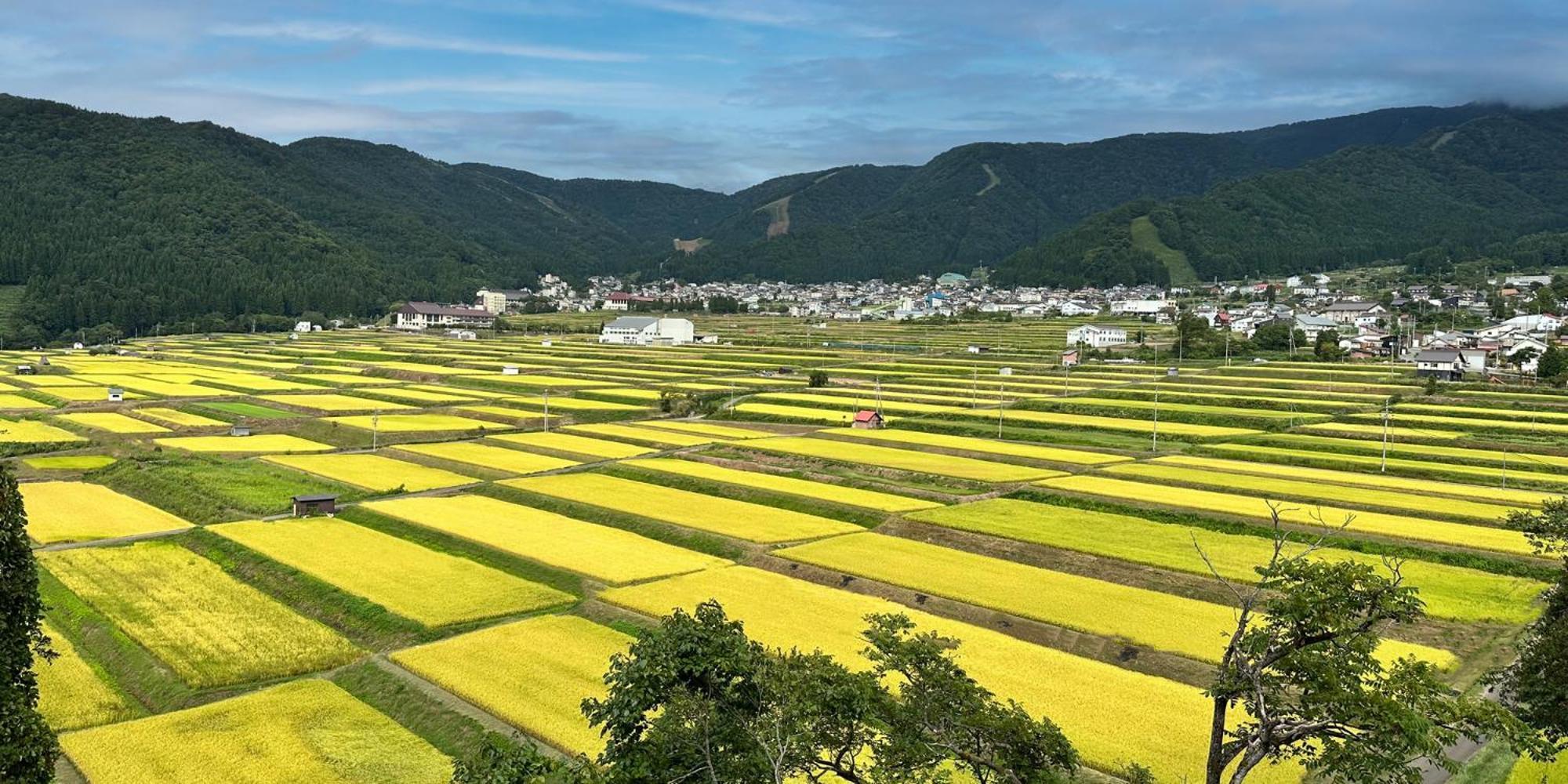 Pearl Yoshigoe Hotel Nozawaonsen Bagian luar foto